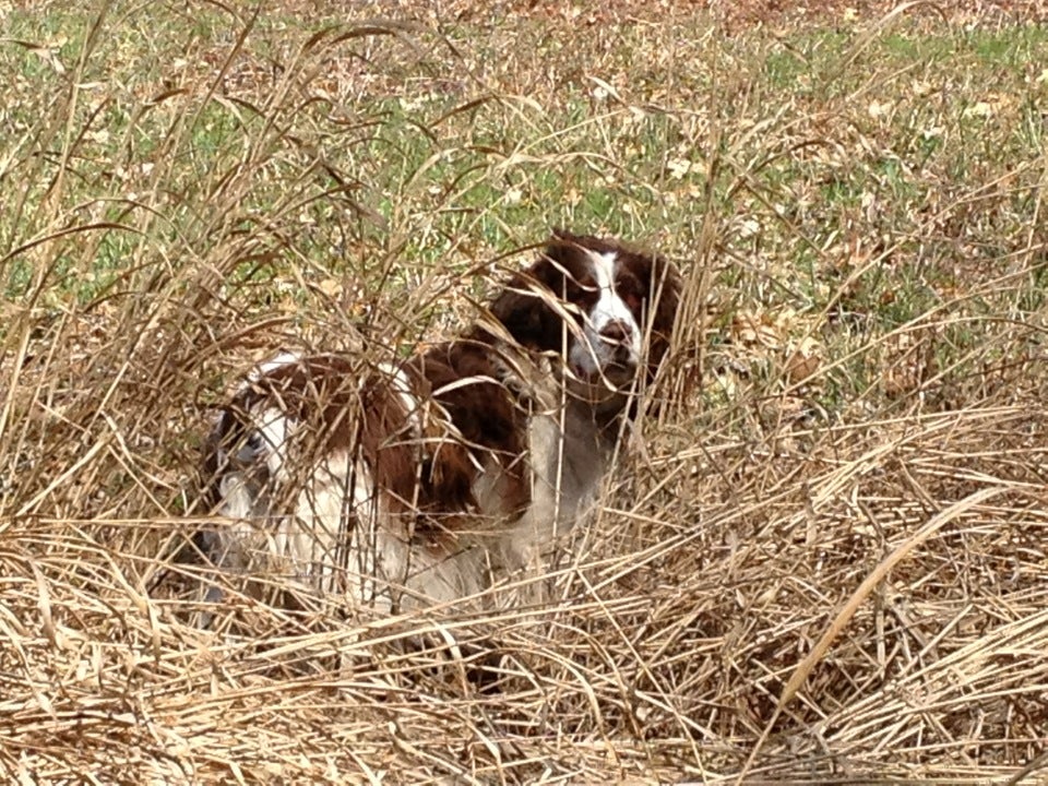 Turtle Lake Nudist Resort, 2101 9 Mile Rd, Union City, MI, Hotels