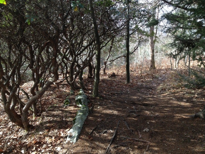 Candler, NC Map & Directions MapQuest