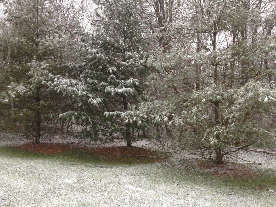 Meadowood Regional Park, 10650 Falls Rd, Lutherville Timonium, MD