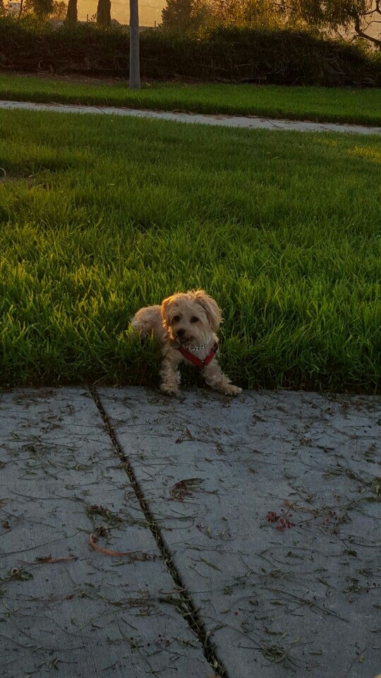 Ladera Ranch, CA Map & Directions MapQuest