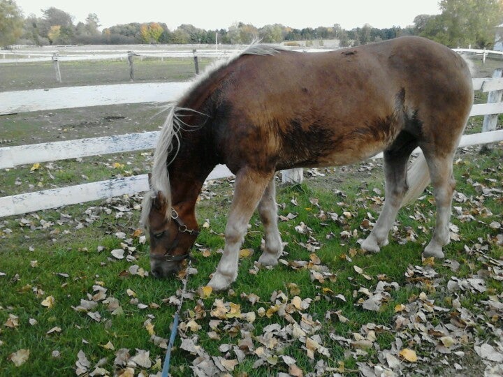 Dryden, MI Map & Directions MapQuest