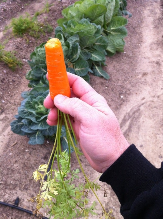 Brusly, LA Map & Directions MapQuest