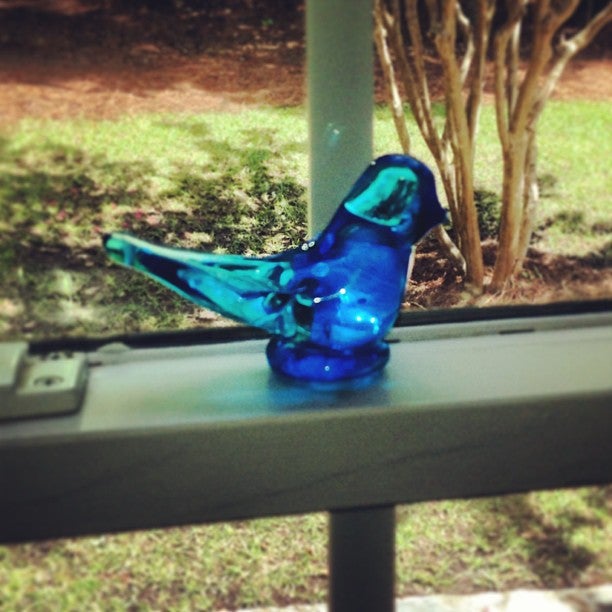 Ascot Subdivision, Steeple ridge, Irmo, SC MapQuest