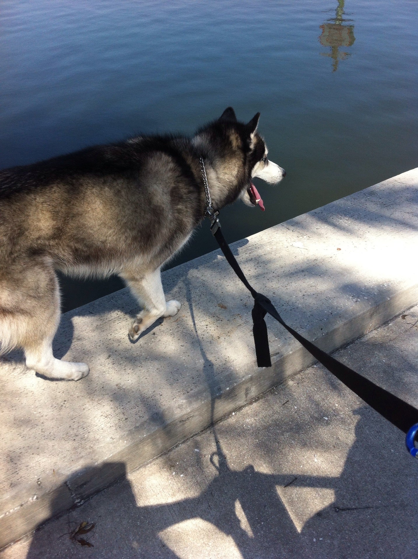 Coffee Pot Bayou, Monterey Pt NE, St Petersburg, FL MapQuest