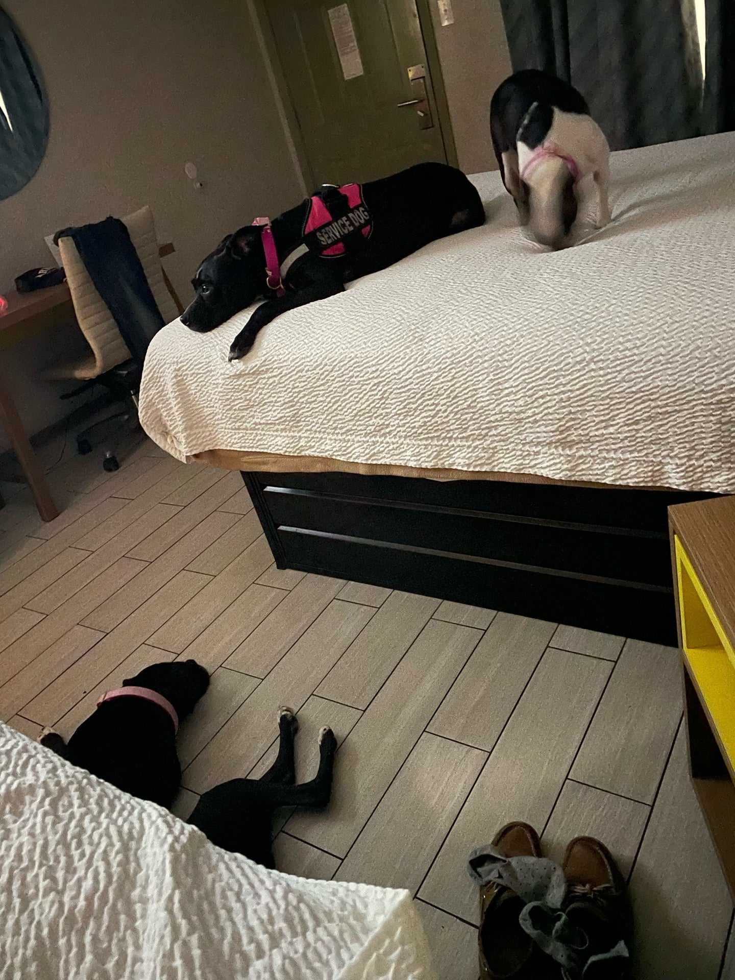 Gibsland, LA Map & Directions MapQuest