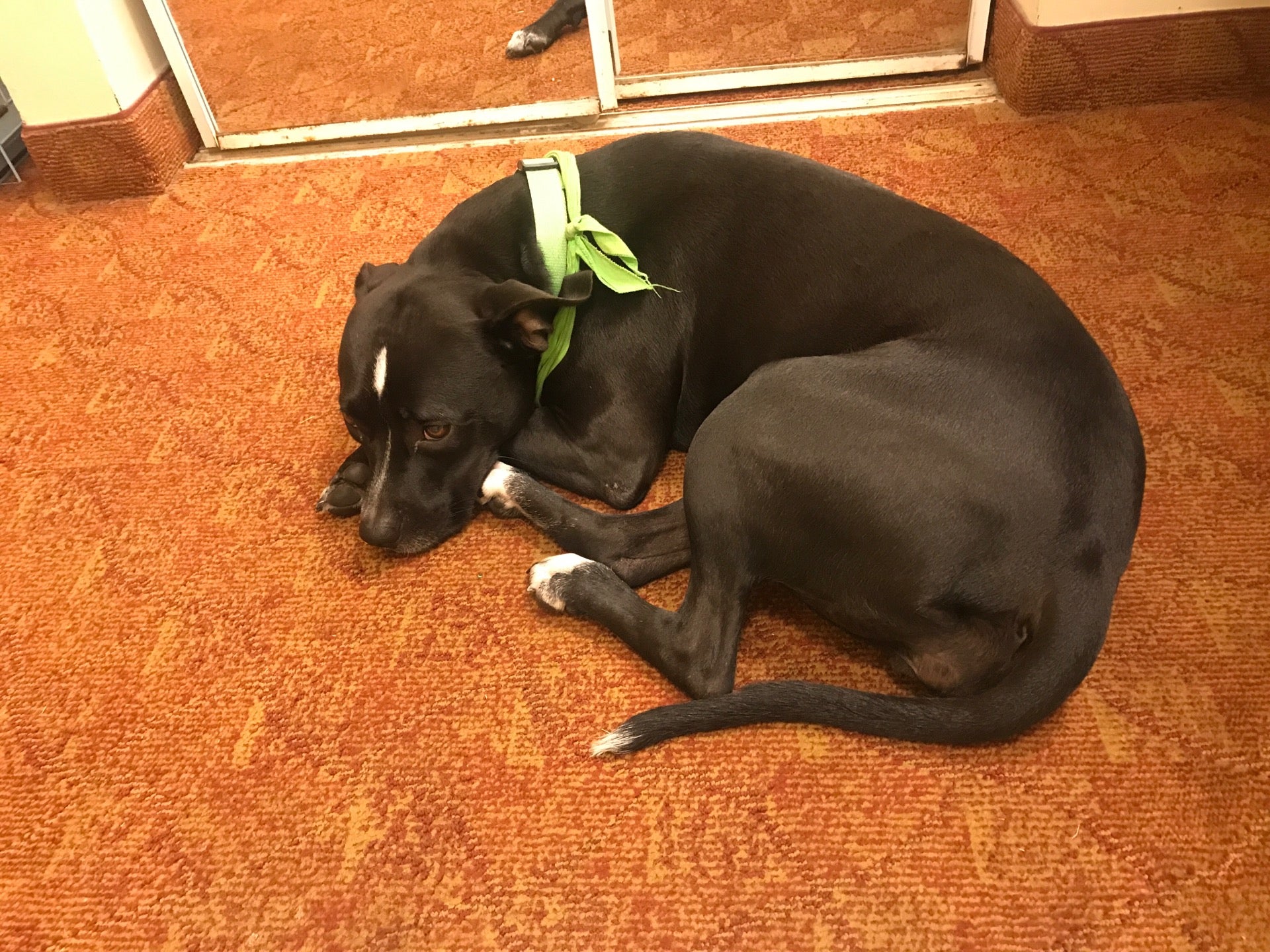 Calera, AL Map & Directions MapQuest