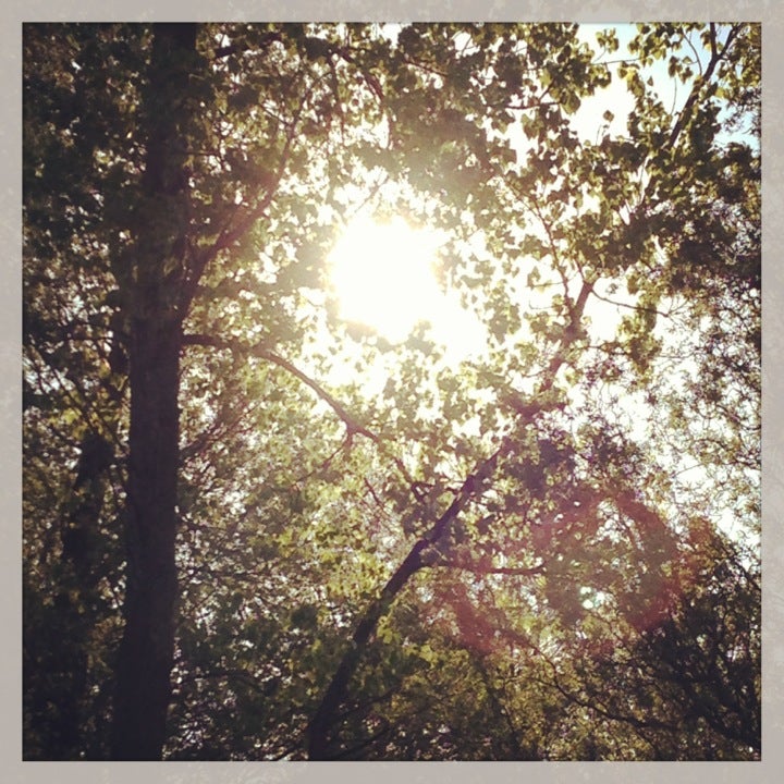 Middlefork Savanna Forest Preserve, 1401 Middlefork Dr, Lake Forest, IL