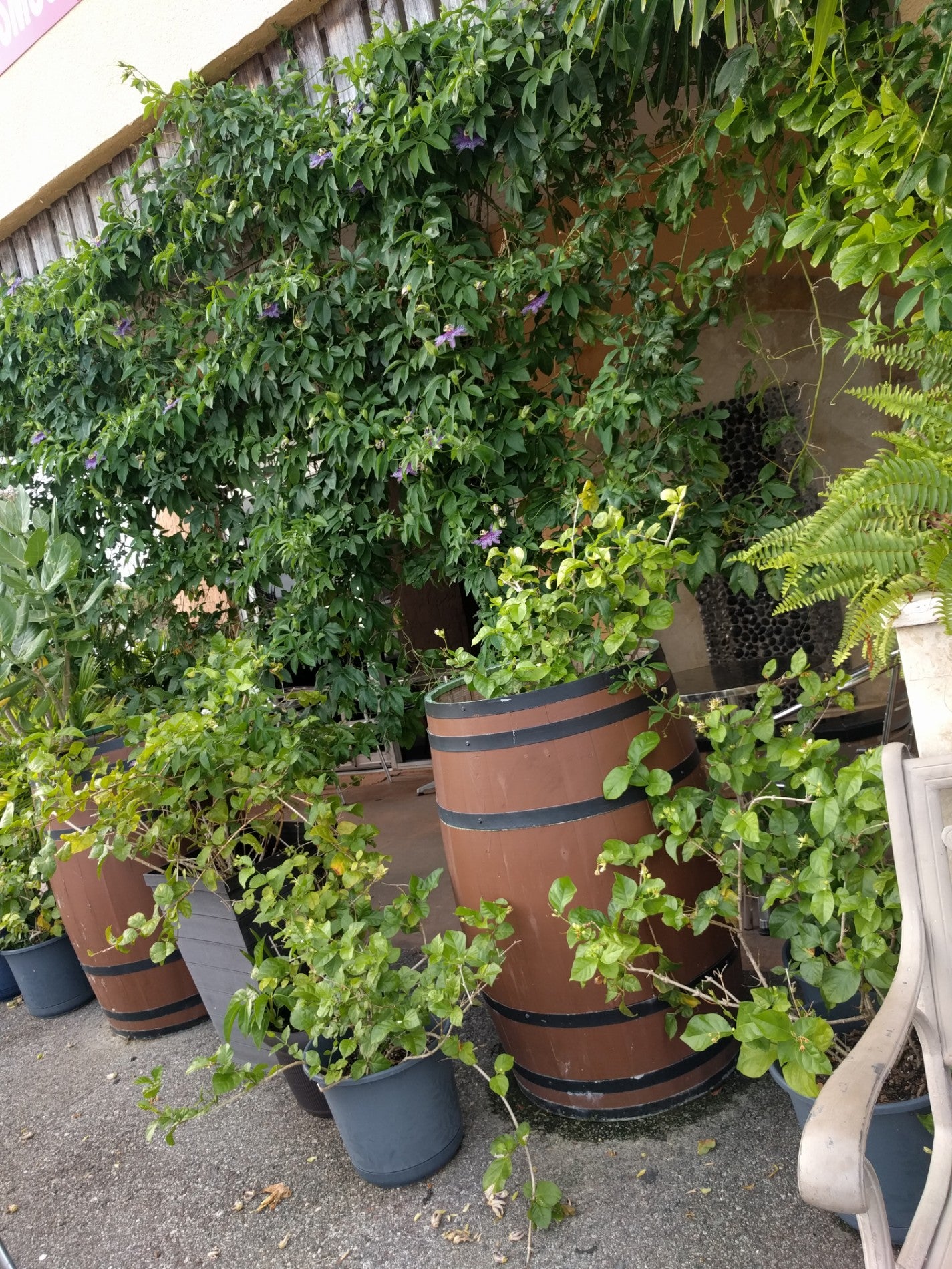 Chef's Corner in Melbourne Beach Market, 302 Ocean Ave, Melbourne Beach