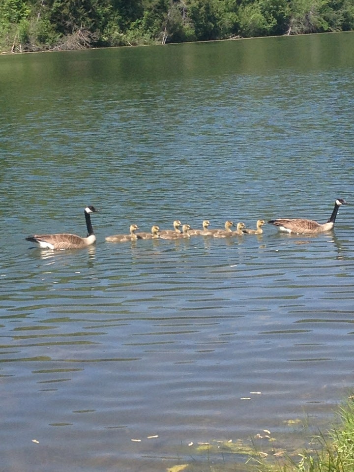 Chaska, MN Map & Directions MapQuest