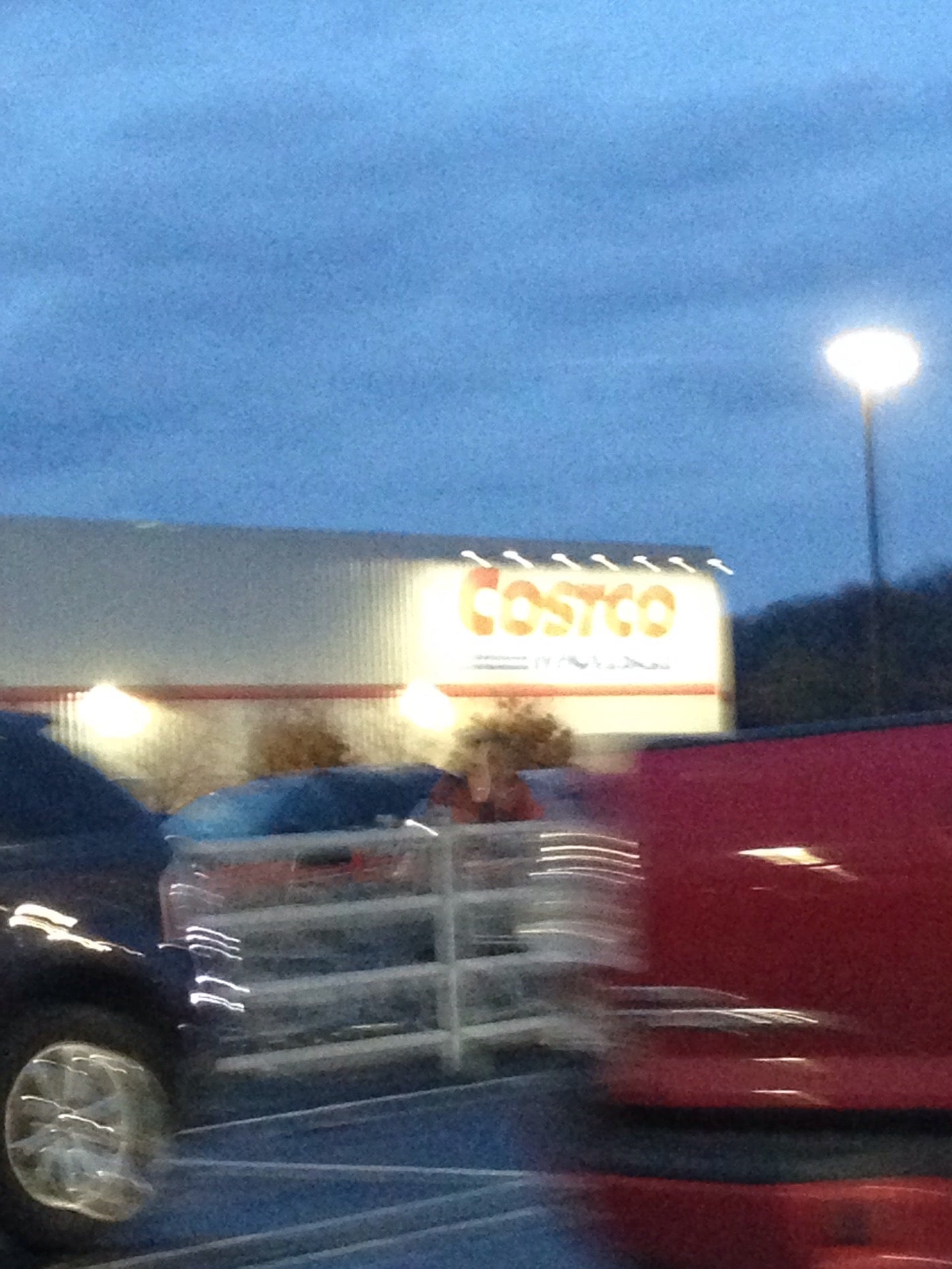 Costco, 202 Costco Dr, Robinson Twp, Pennsylvania, Wholesale Clubs