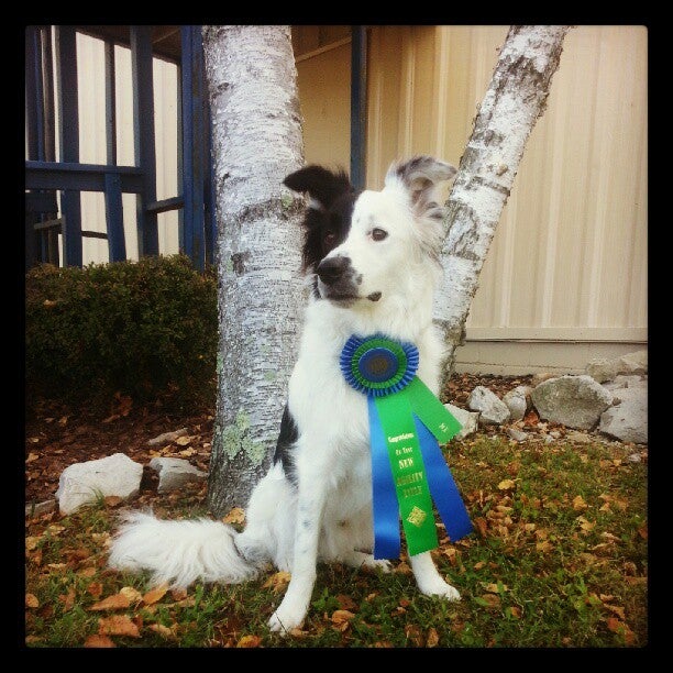 Fieldhouse, 300 Sunrise Center Dr, Zanesville, OH, Health club MapQuest