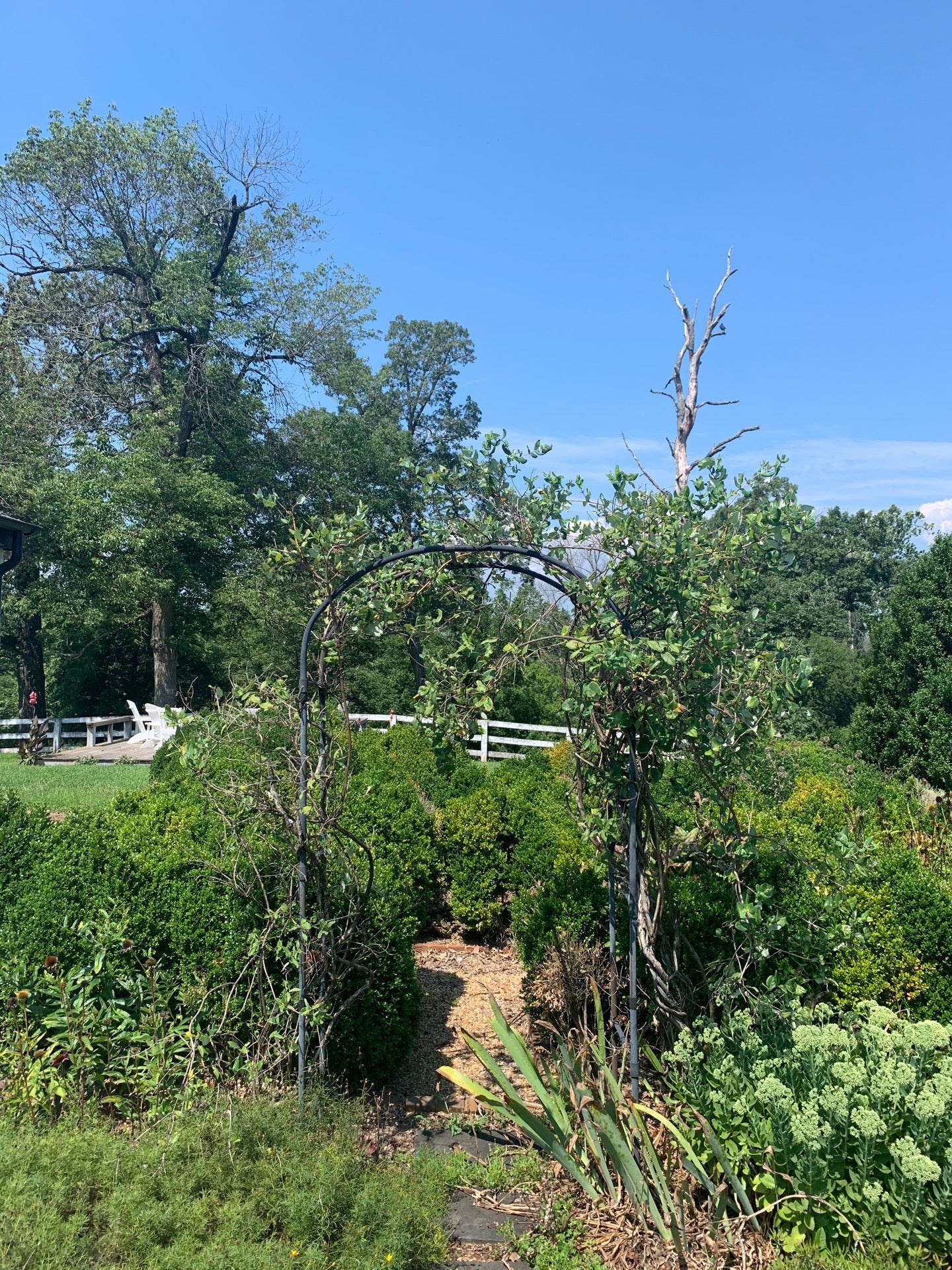 The 1804 Inn of Barboursville Vineyards, 17655 Winery Rd, Barboursville