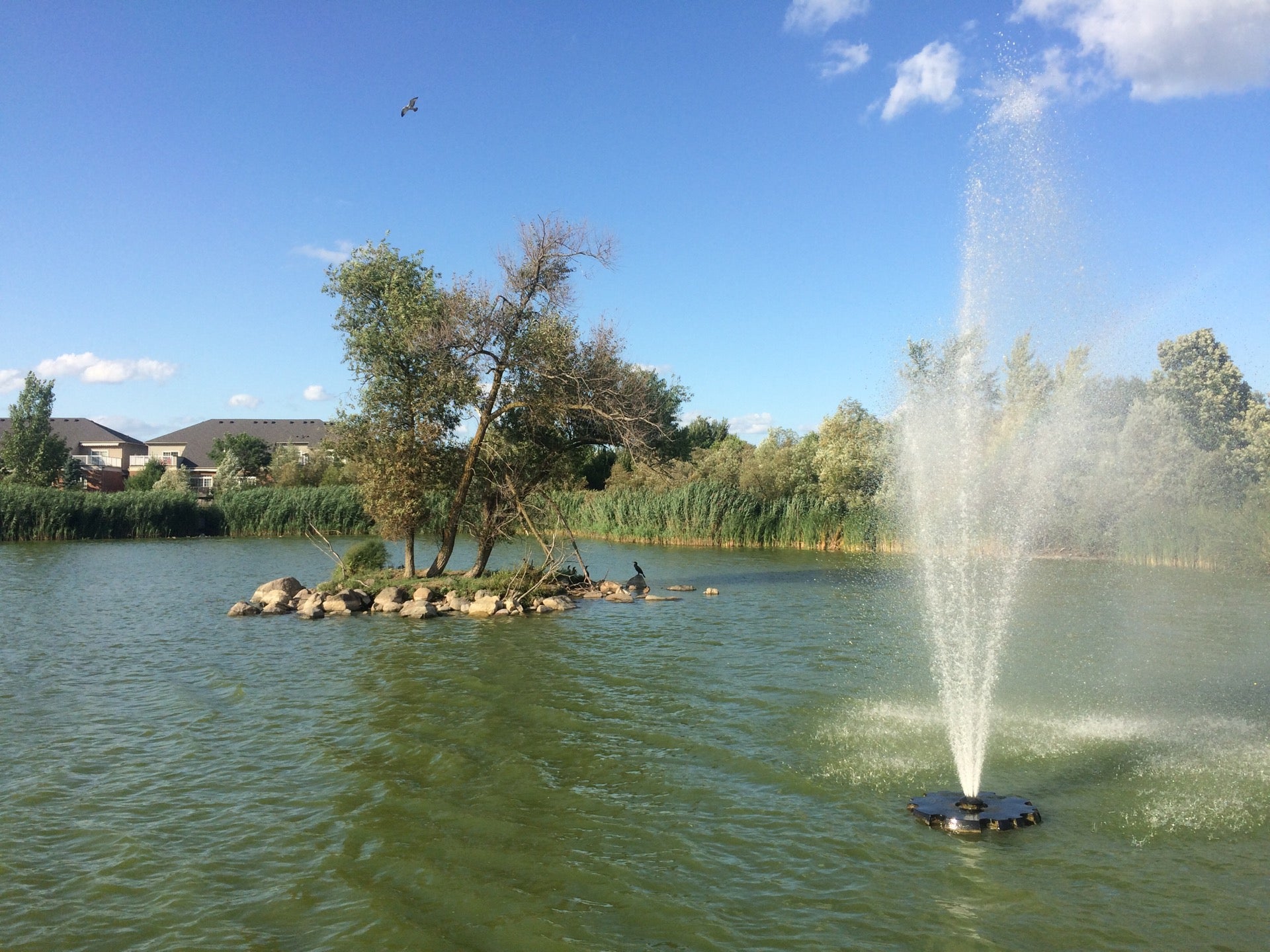 Swan Lake Park, 25 Swan Park Rd, Markham, ON, Parks MapQuest