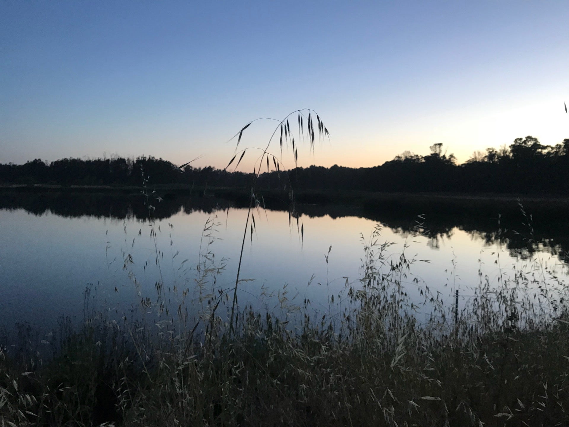 Bay Trail, American Canyon, CA, Trail MapQuest