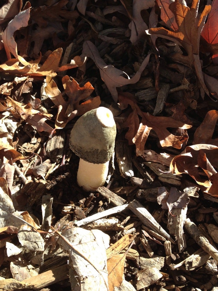 NES Playground, Farmingdale, NY, Playgrounds MapQuest