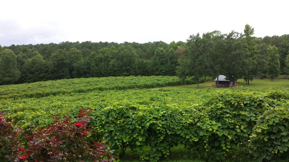 Brierfield, AL Map & Directions MapQuest