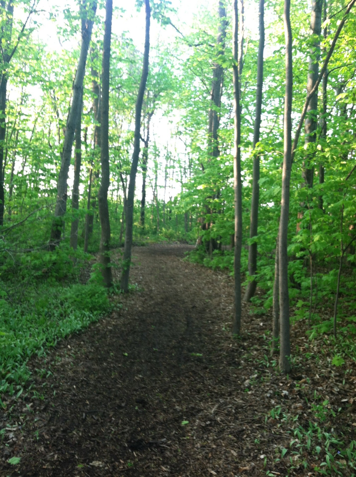 Darboy Community Park, Noe Rd, Harrison, Village of, WI MapQuest