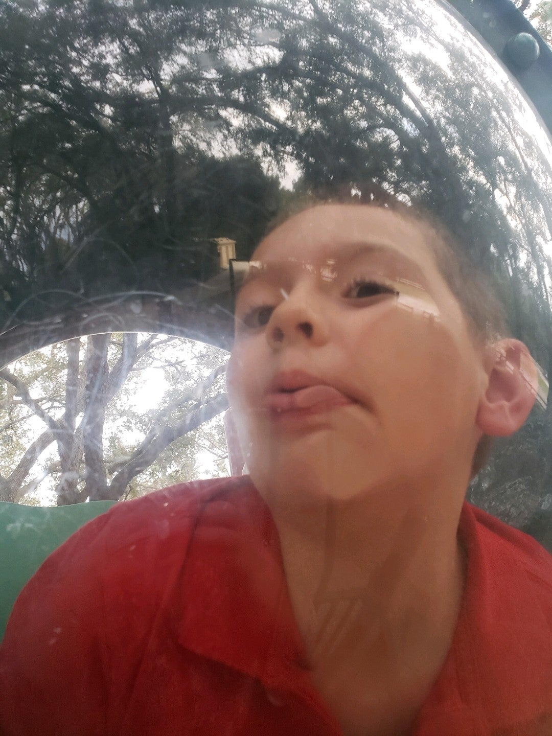 P.E.A.R. Park Dog Park, Leesburg, FL MapQuest