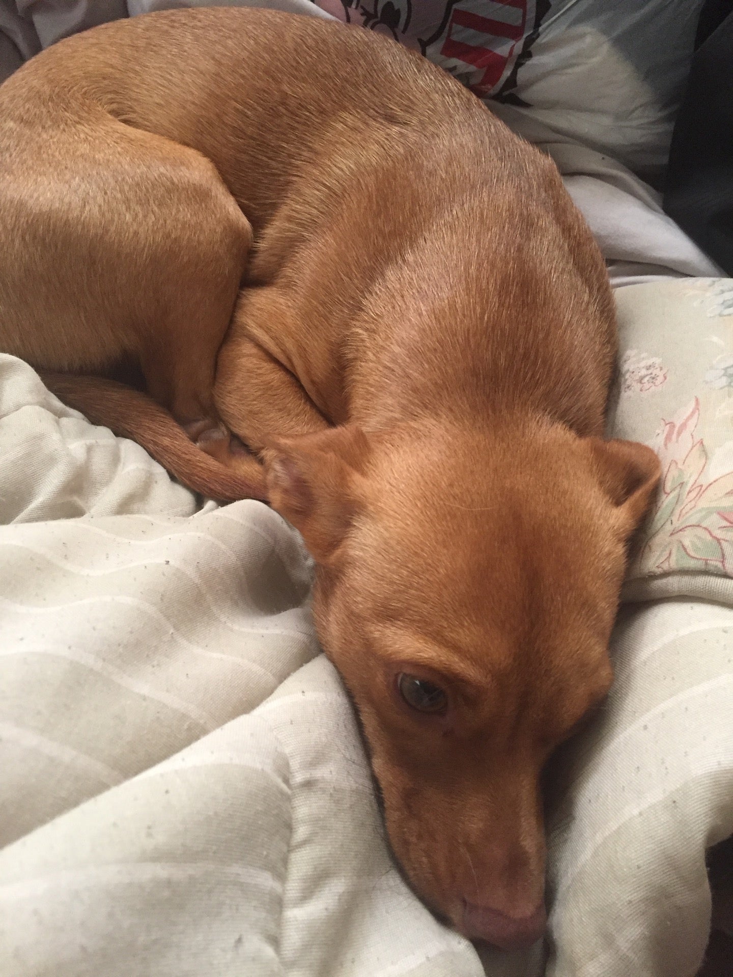 Warsaw, NC Map & Directions MapQuest