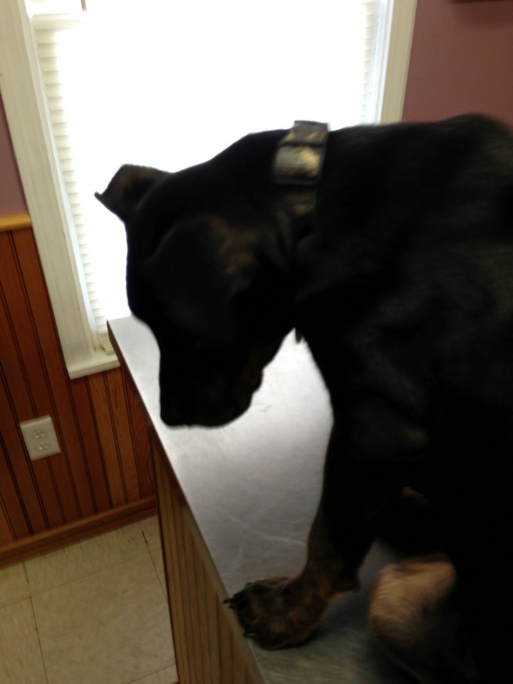 Best Animal Hospitals in Centerville, New York MapQuest