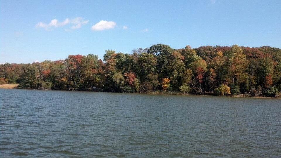 Dundee Creek Marina, Middle River, MD - MapQuest