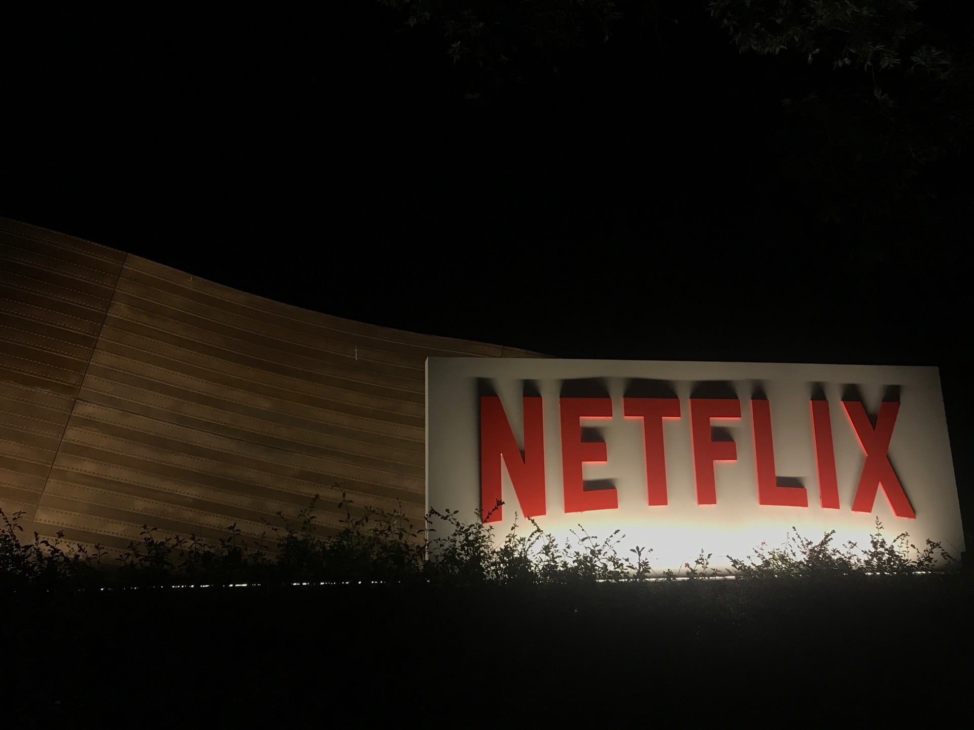 Netflix, Inc, 100 Winchester Cir, Los Gatos, CA, Business Services
