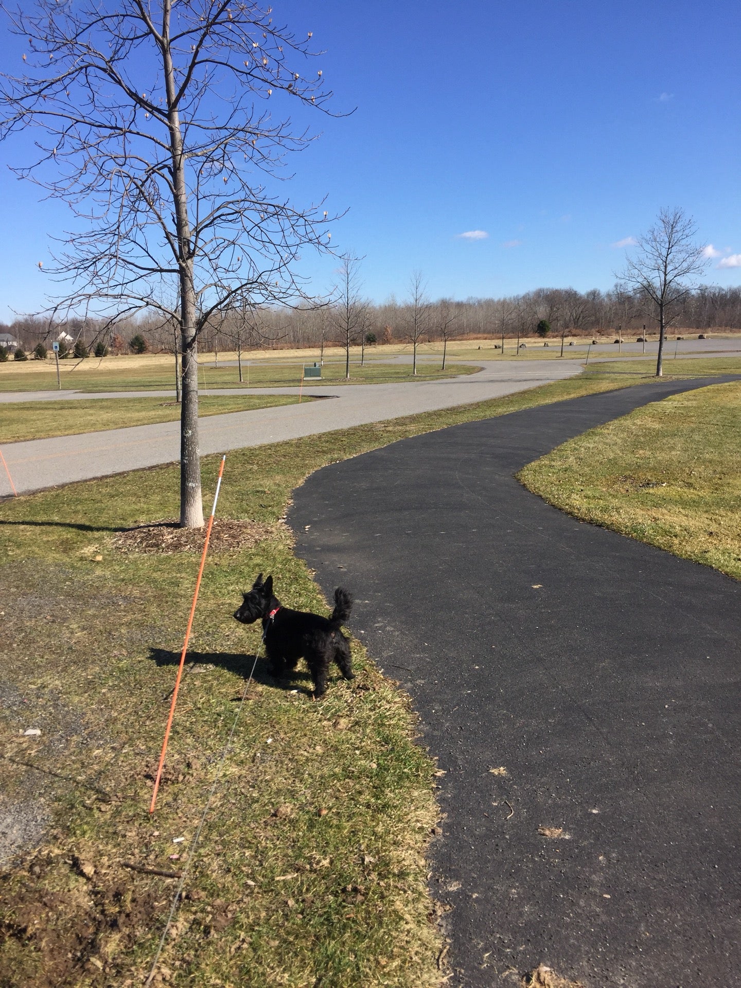 Rothfuss Park, 1648 Five Mile Line Rd, Penfield, NY - MapQuest