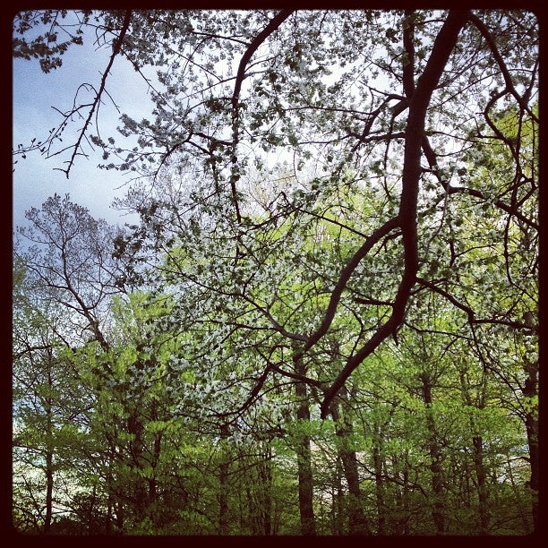 Caledonia, MI Map & Directions MapQuest