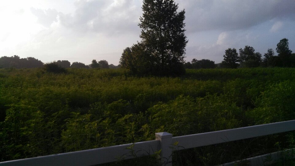 PEAR Park, Leesburg, FL, Parks MapQuest