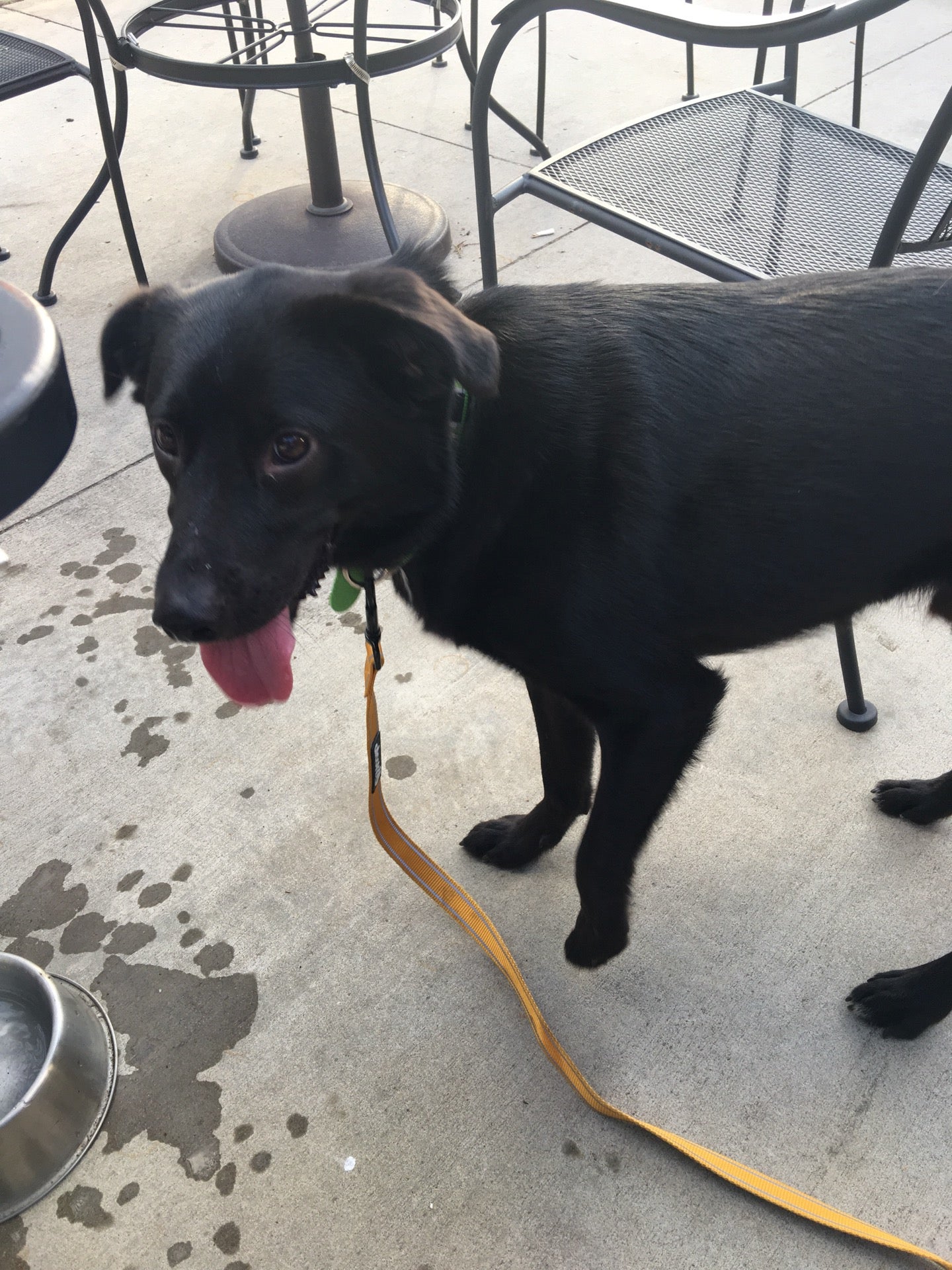 Prospect Hill, NC Map & Directions MapQuest