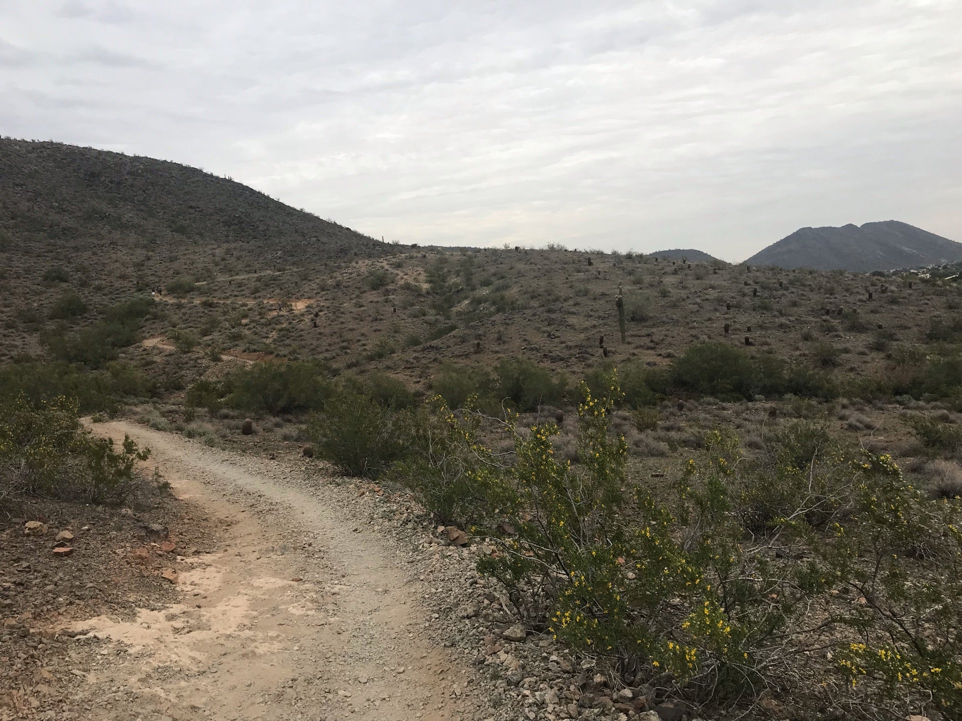 Thunderbird Reservoir Park, 23098 N 62nd Ave, Glendale, AZ MapQuest