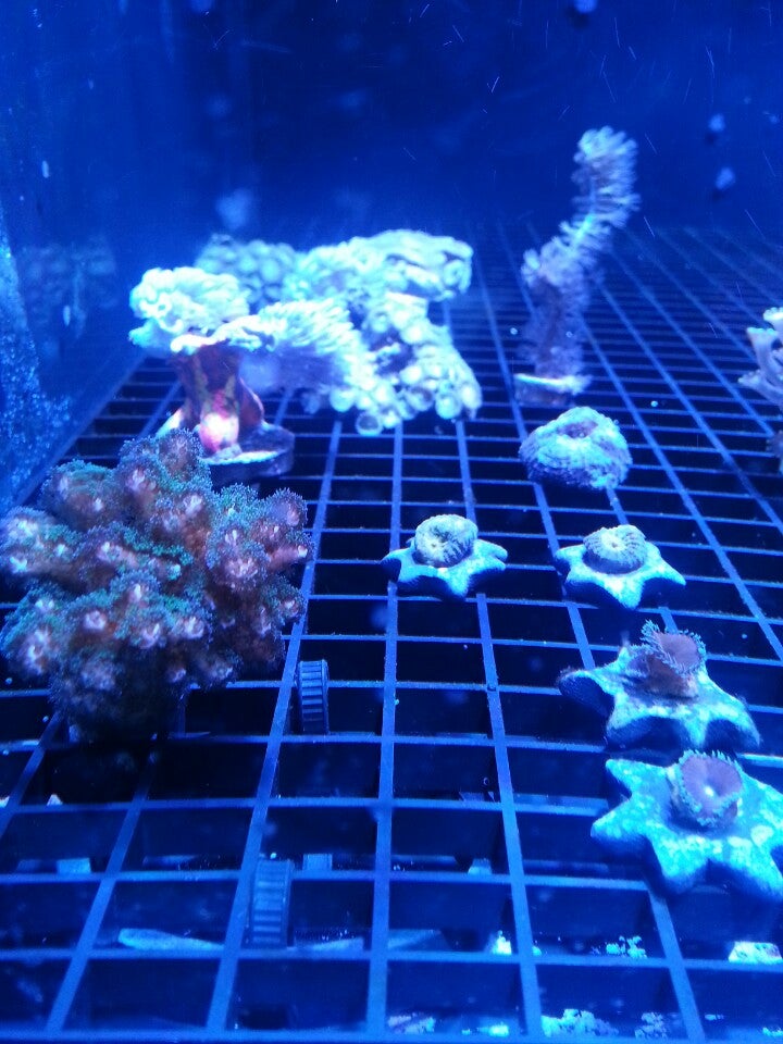 Aquarium Center, 1295 Blackwood Clementon Rd, Gloucester Twp, NJ MapQuest