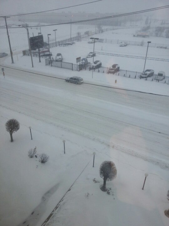 Bam Builder Advertisement & Marketing