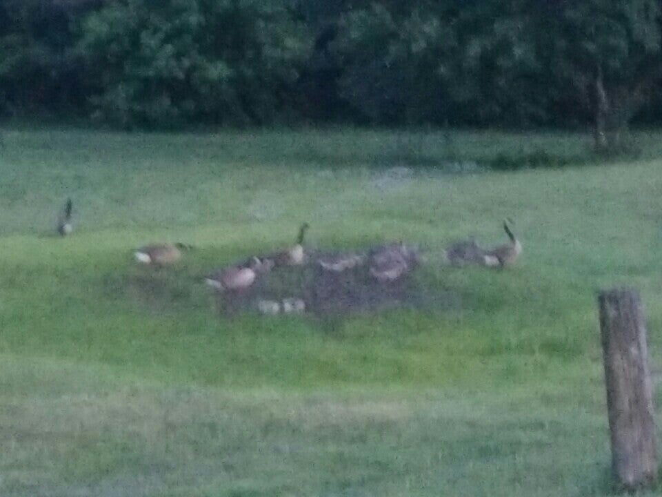 Howards Pond Park, E Main St, Elkton, MD MapQuest