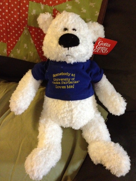 tesco teddy bear cedric to buy