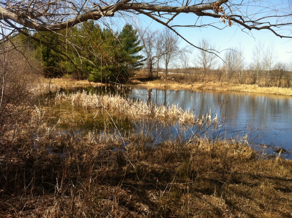 Simply Native Foods, N8806 600th St, Martell, Town of, WI, Food
