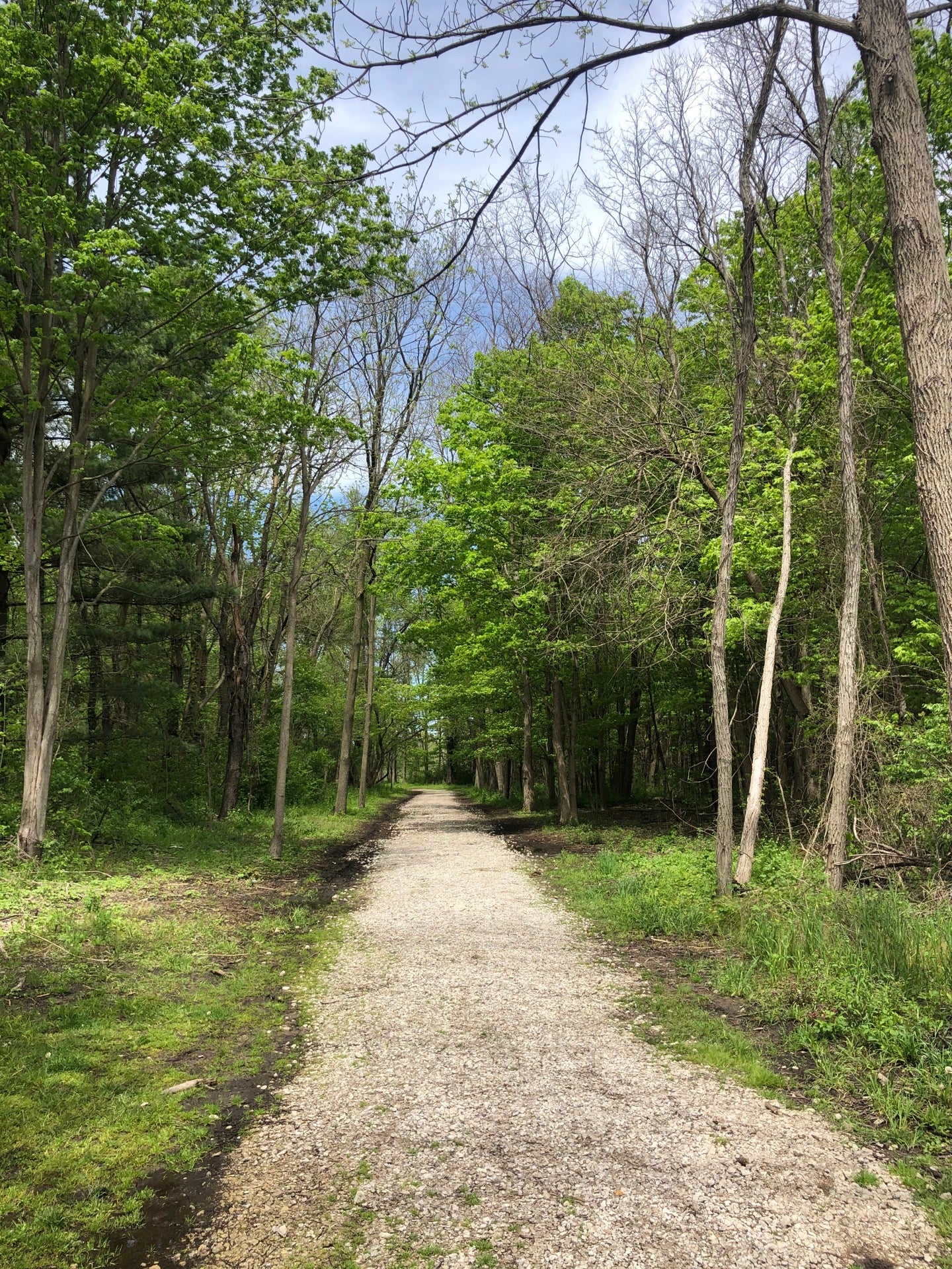 Hewen's Creek Park, 6515 Bemis Rd, Ypsilanti, MI, Parks MapQuest