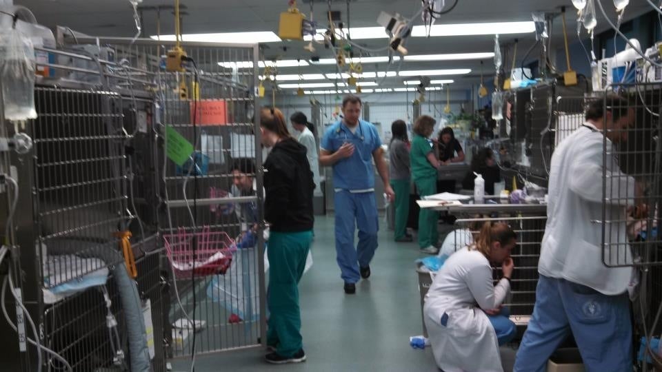 Purdue University Small Animal Hospital, 625 Harrison St, West Lafayette, IN, Veterinarians - MapQuest Purdue University Small Animal Hospital, 625 Harrison St, West Lafayette, IN, Veterinarians - MapQuest
