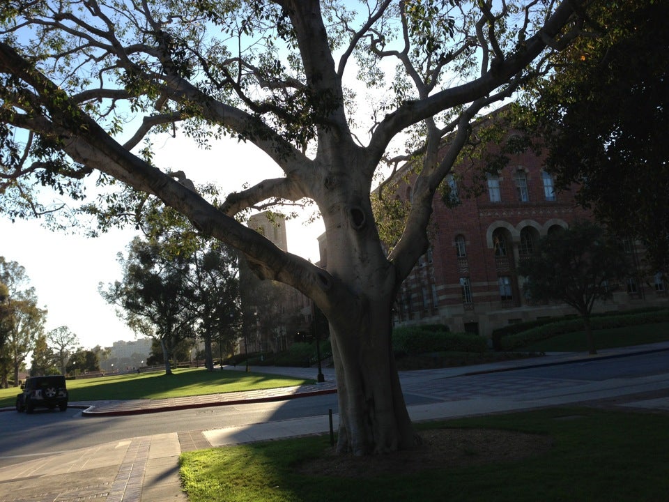 UCLA Haines Hall, 375 Portola Plaza, Los Angeles, CA, Colleges