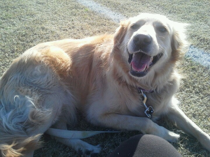 Breckenridge Soccer Fields, Richardson, TX MapQuest
