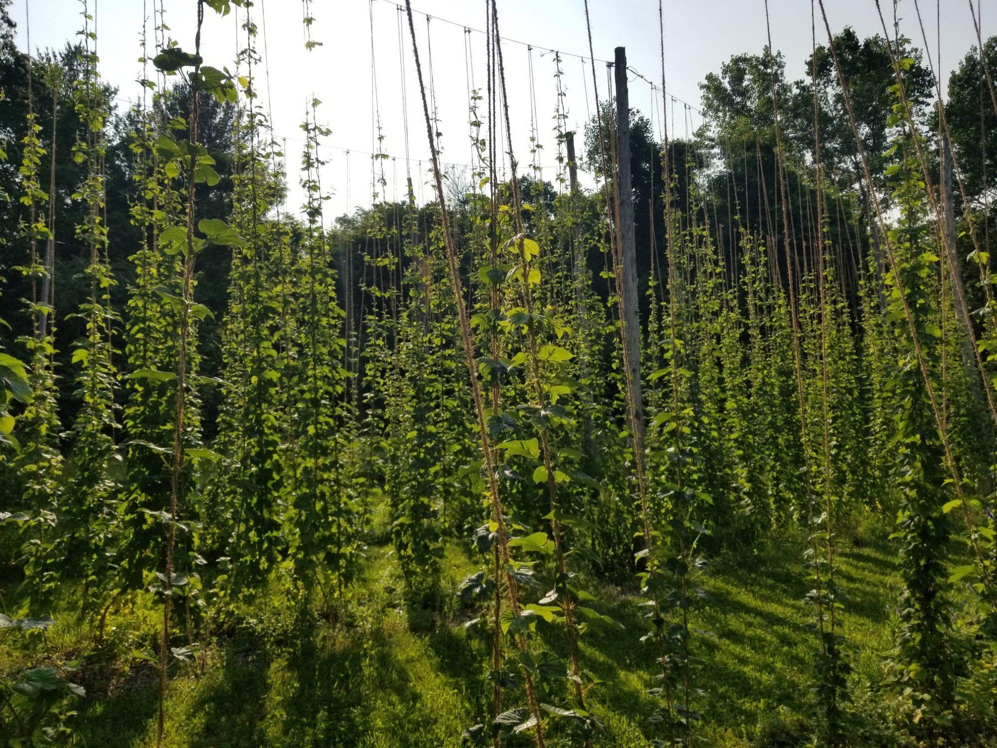 Claverack, NY Map & Directions MapQuest