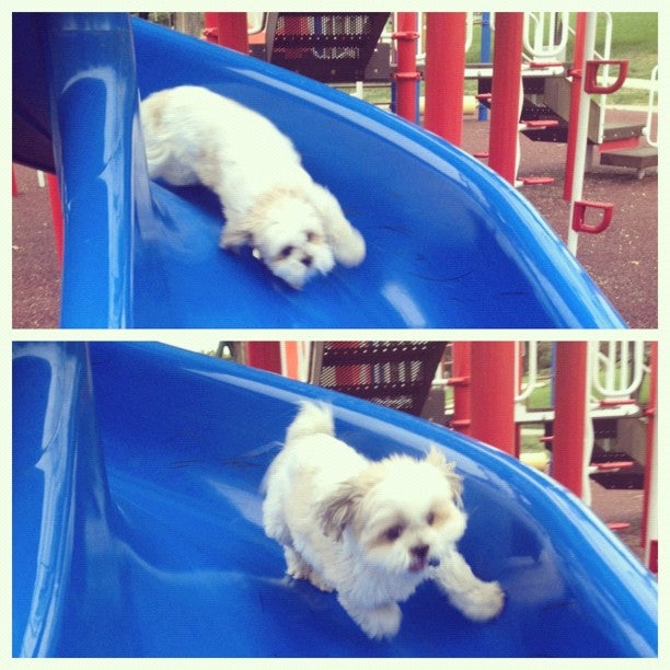 Shawnee Mission, KS Map & Directions MapQuest