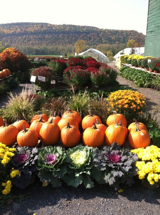 Carrot Barn, 5605 State Route 30, Schoharie, Town of, NY, Grocery