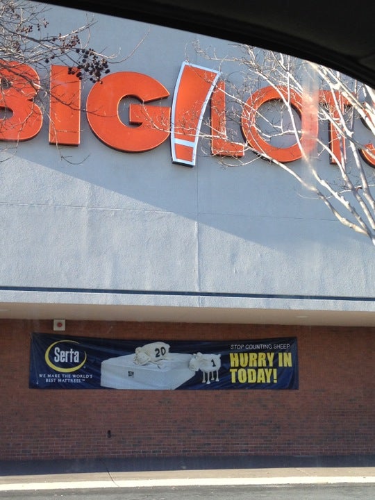 Big Lots Canton Georgia