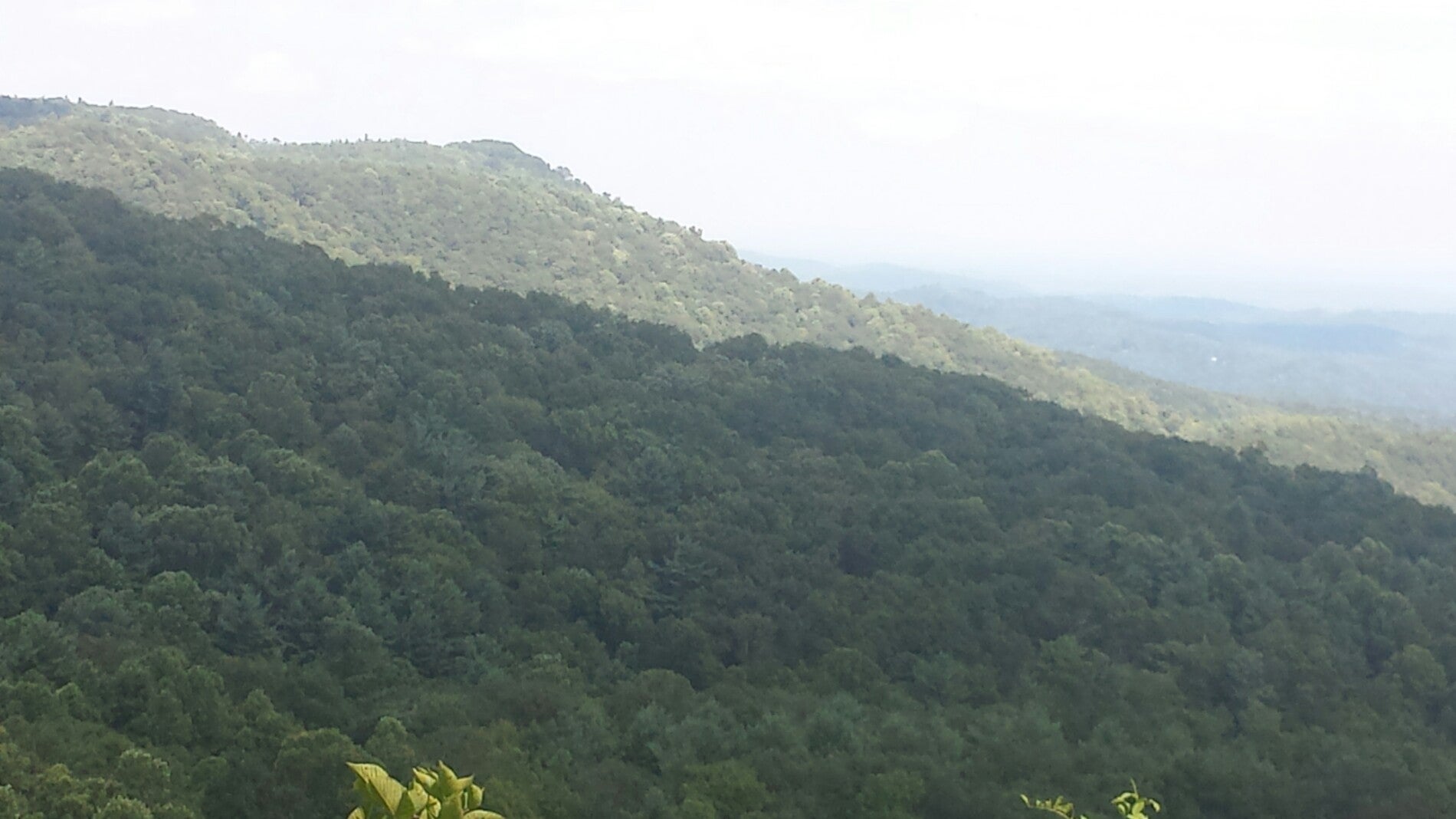 Sheets Gap Overlook Sheets Gap Overlook Laurel Springs NC Places