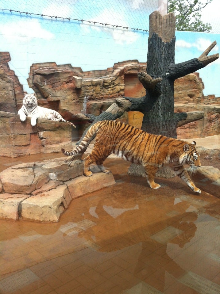 Bloomer, WI Map & Directions MapQuest