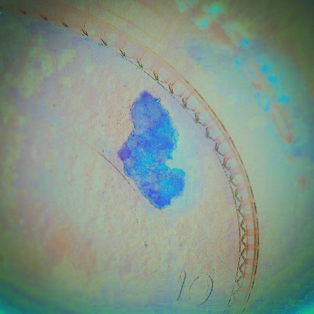 Radiology Regional Center, 700 Goodlette Rd N, Naples, FL, Diagnostic