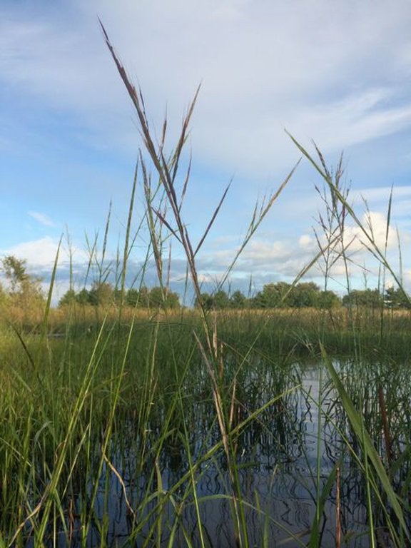 Simply Native Foods, N8806 600th St, Martell, Town of, WI, Food