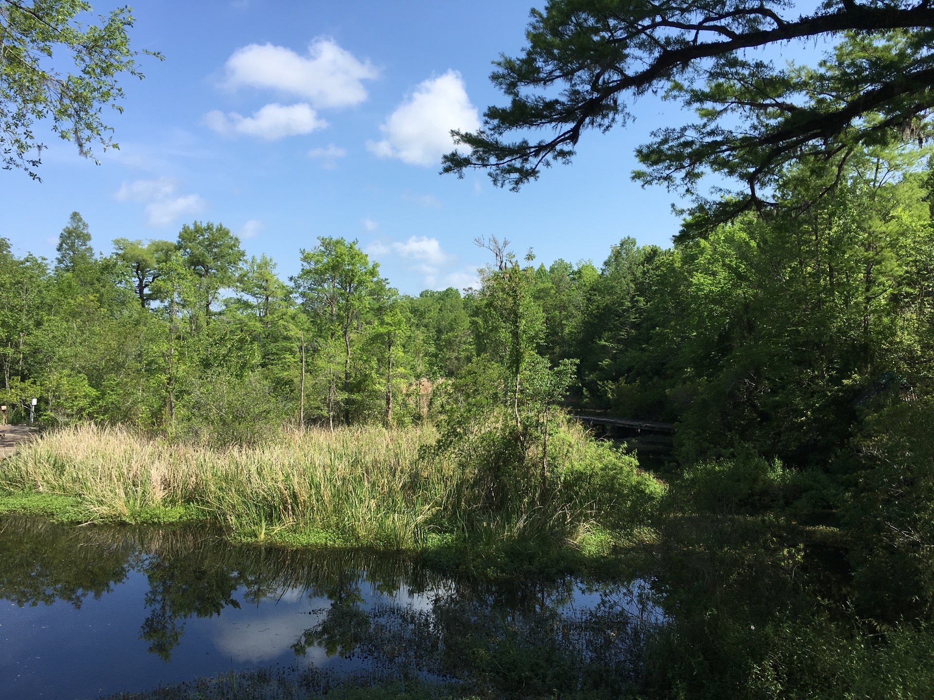 Old Santee Canal Park, 900 Stony Landing Rd, Moncks Corner, SC MapQuest