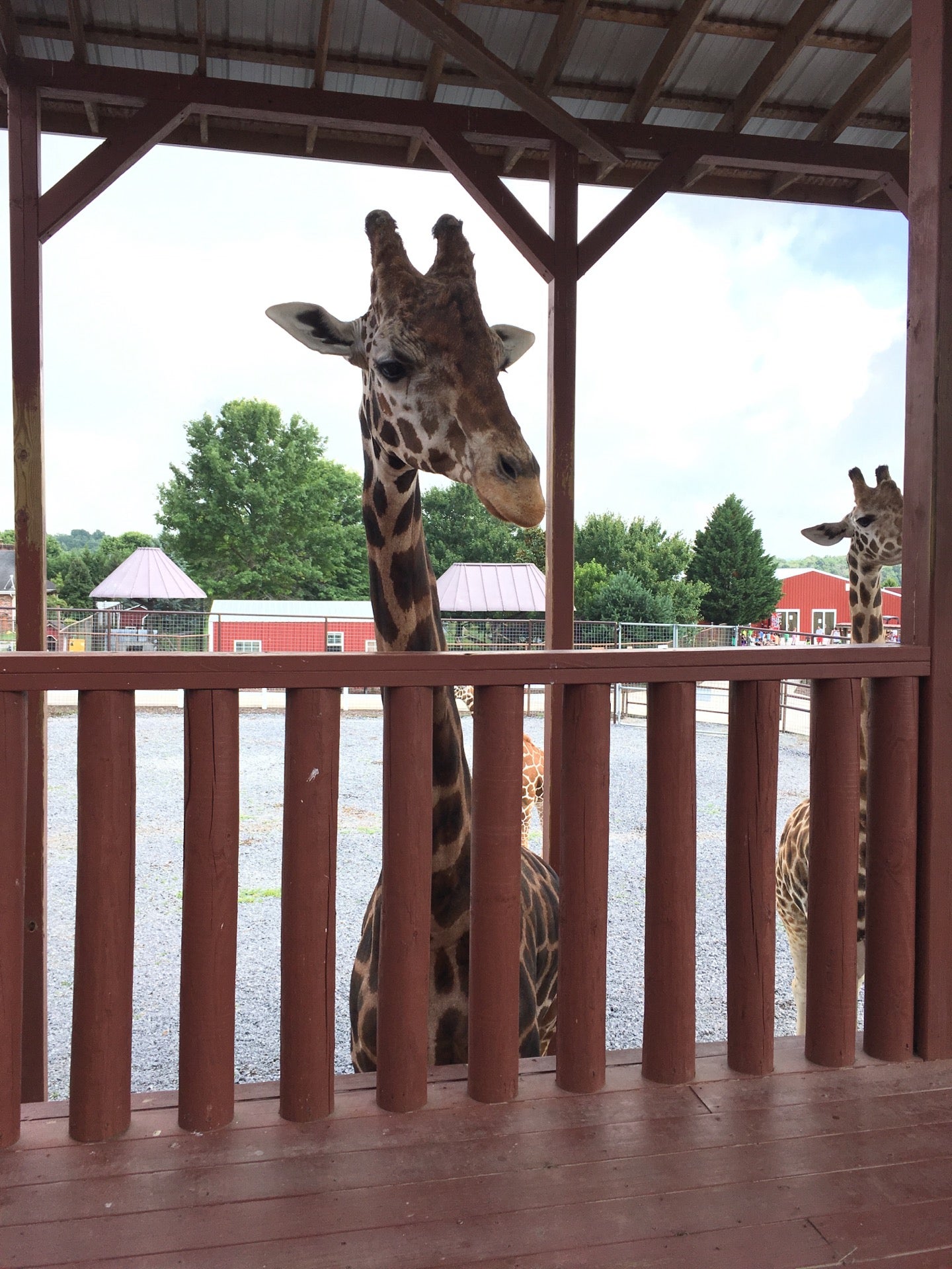 Brights Zoo, Andrew Johnson Hwy, Telford, TN, Parks - MapQuest